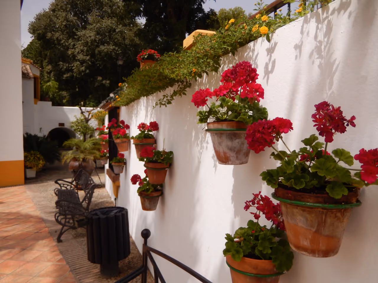 KOOL HOMES: courtyard walkway with whitewashed walls and potted geraniums at Jardín Botánico Molino de Inca, Torremolinos